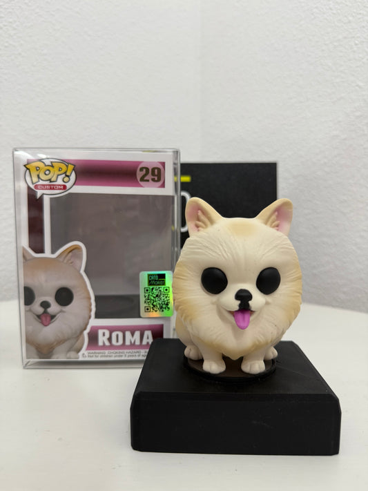 Roma Pop